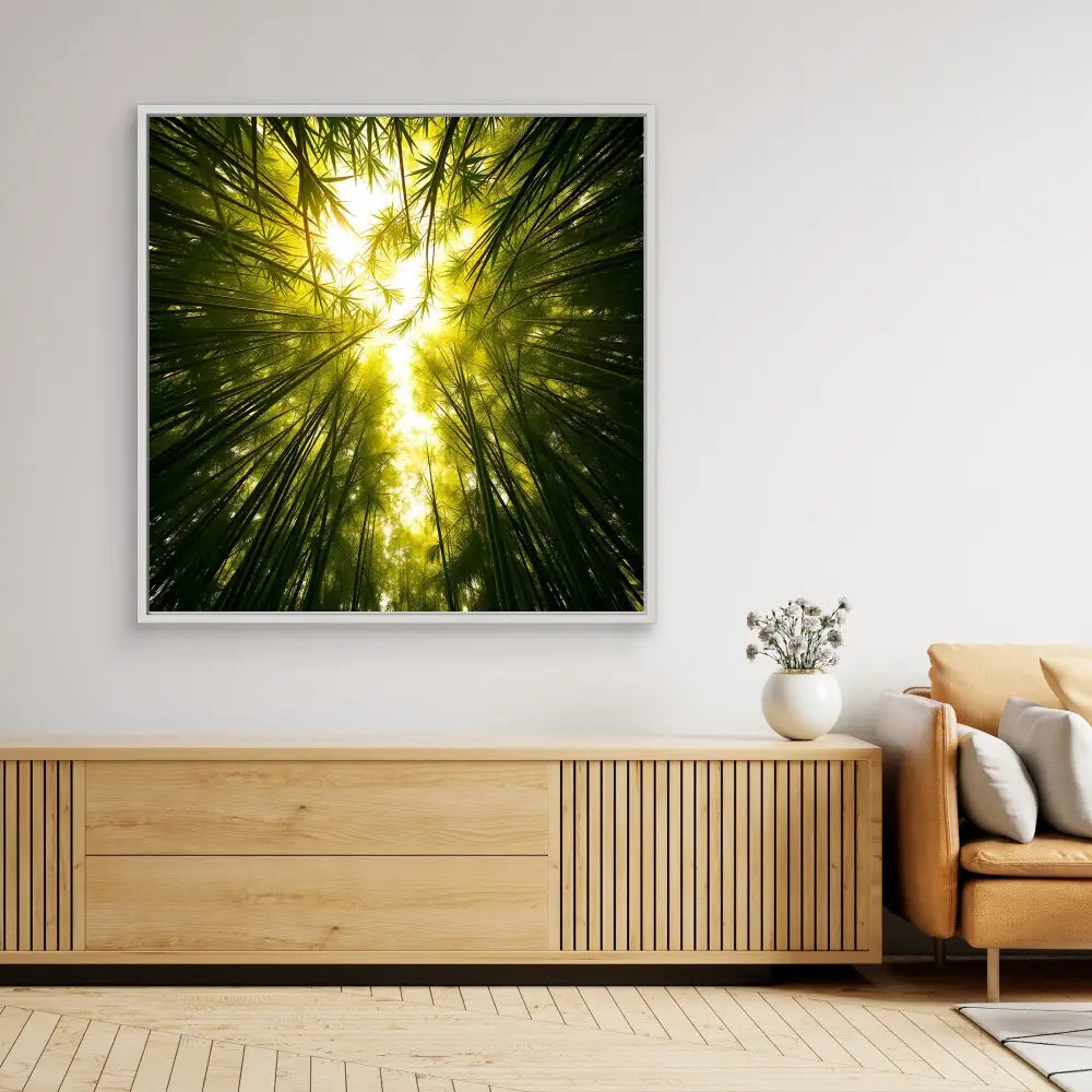 Framed photograph of sunlight streaming through tall bamboo trees viewed from below.