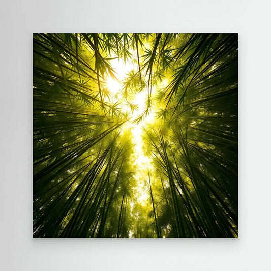 Sunlight filtering through tall bamboo stalks reaching skyward.