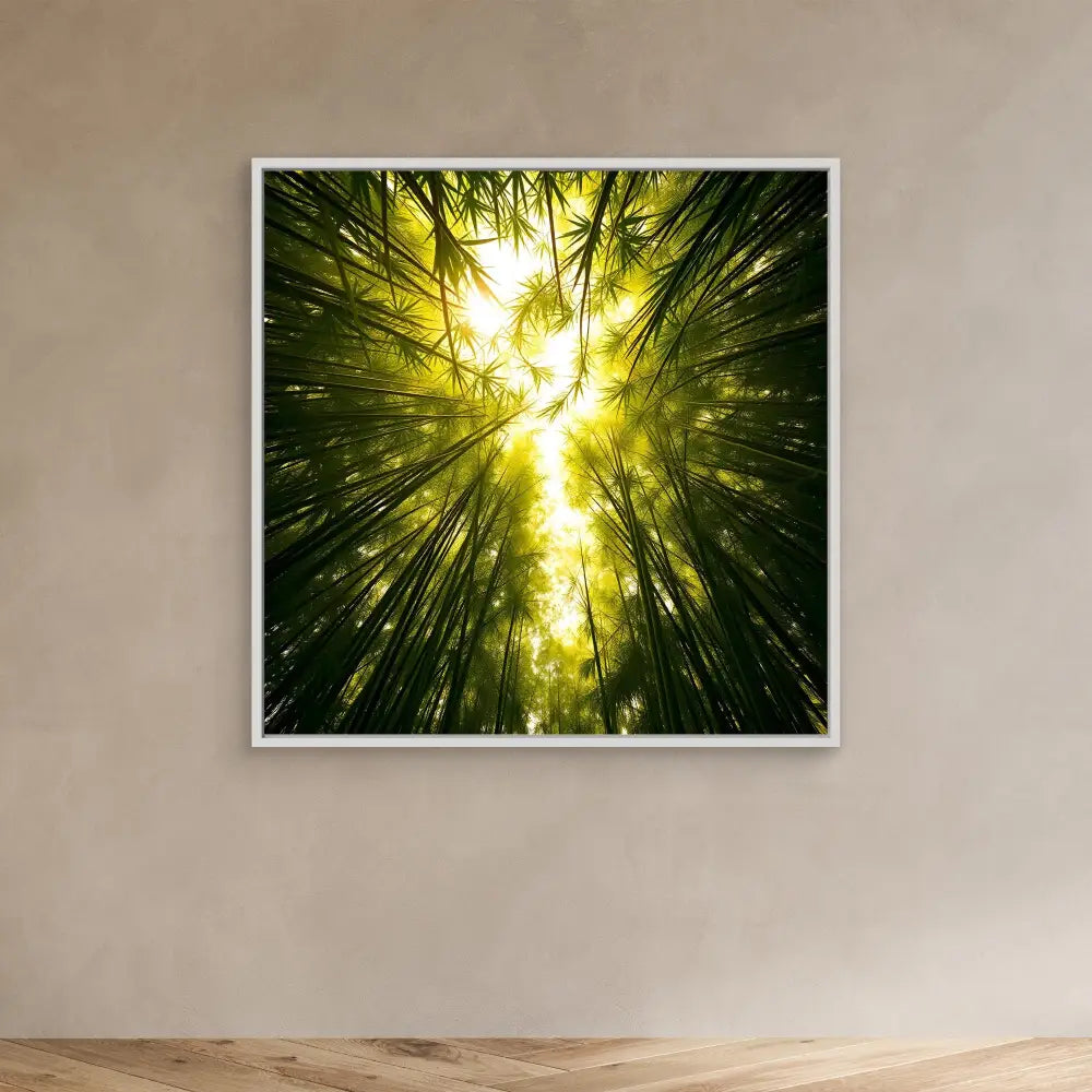 Sunlight filtering through tall bamboo trees photographed from below looking upward.