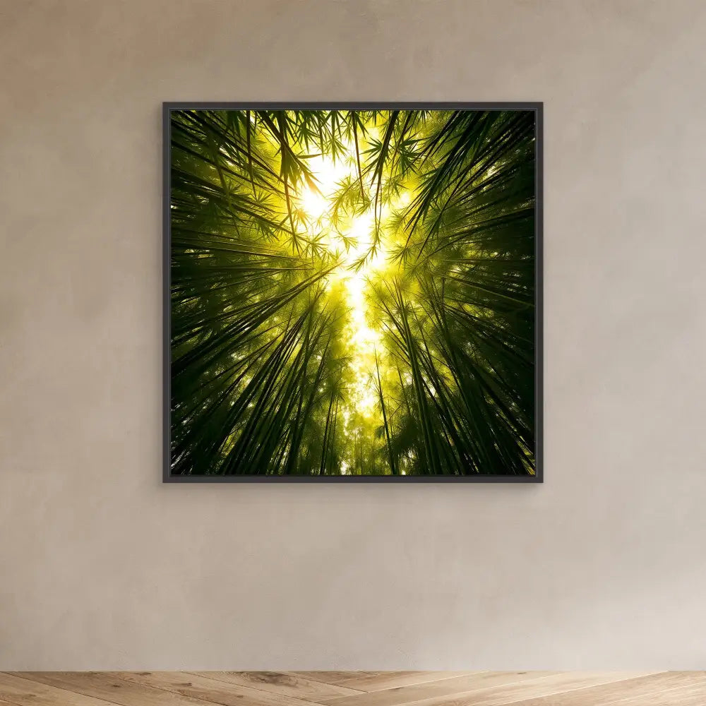 Upward view through towering bamboo stalks with sunlight filtering through the canopy.